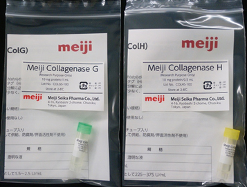 細胞分離用酵素「Meiji Collagenase G」および「Meiji Collagenase H」