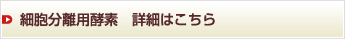 細胞分離用酵素 詳細はこちら