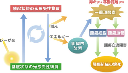 理学療法 統合的運動生成概念に基づく評価と治療 - BiNI Approach 統合的