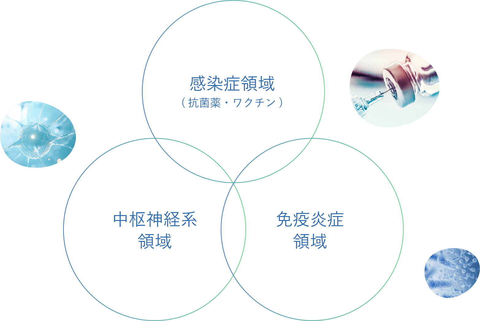 感染症のトップサプライヤー