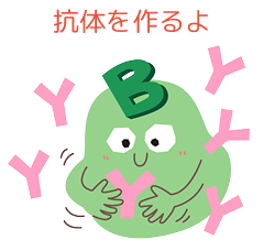 抗体を作るよ