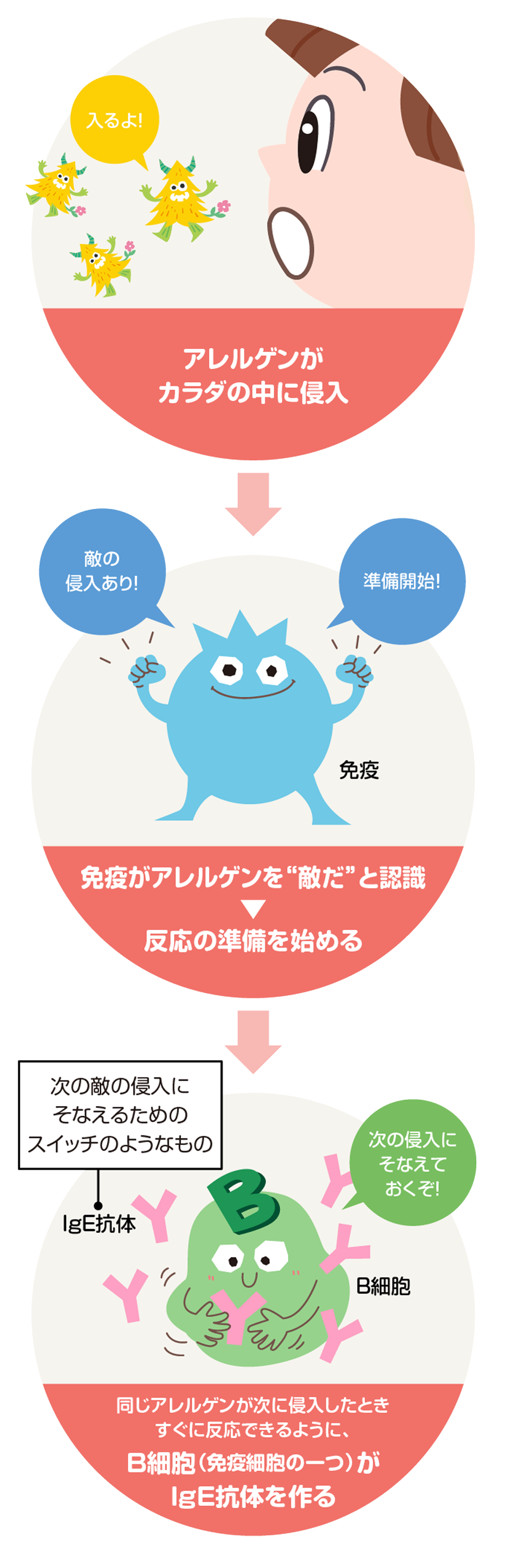 ①アレルゲンへの初回接触