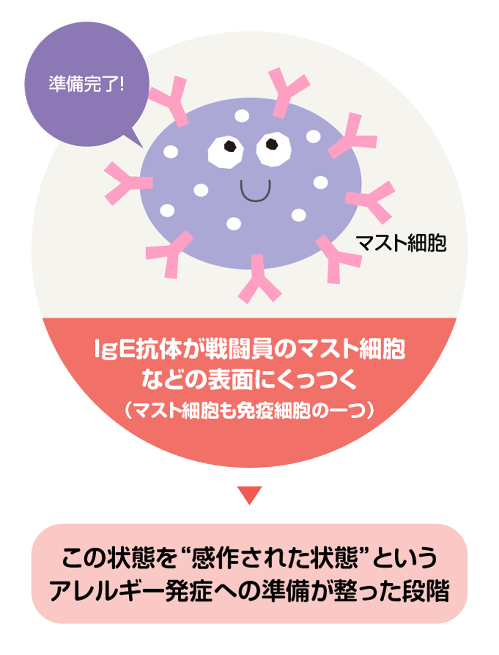 ②感作の状態（発症への準備段階）