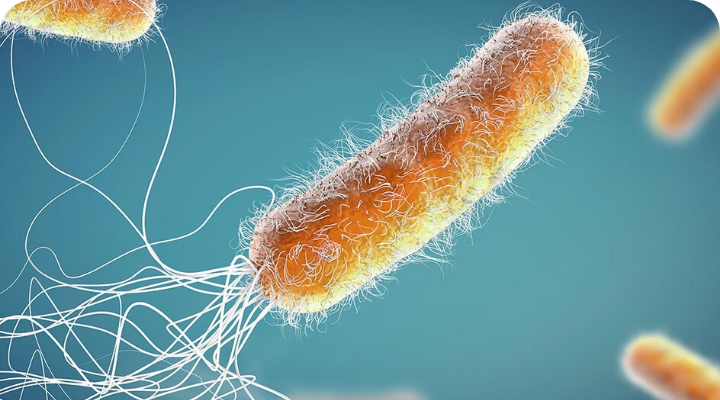 パンデミックは、なぜくり返されるのか？