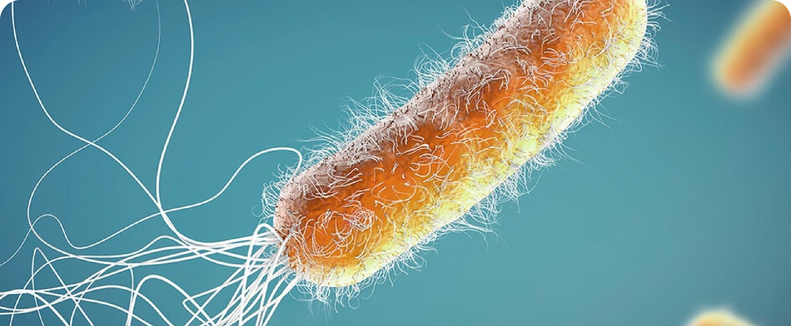 パンデミックは、なぜくり返されるのか？