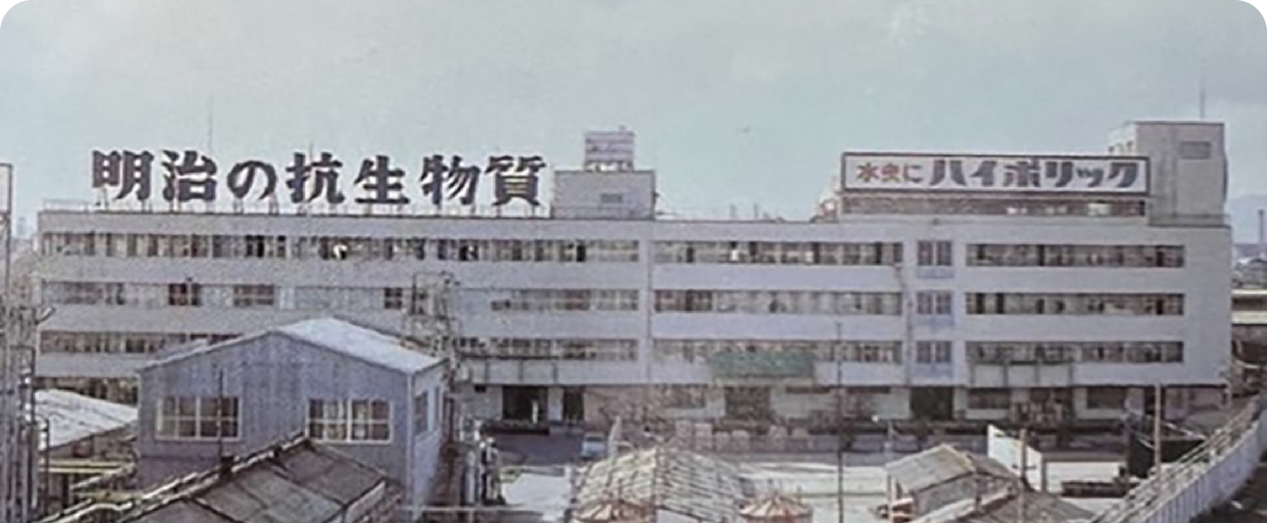 感染症に向き合い続けてきた企業としての責任