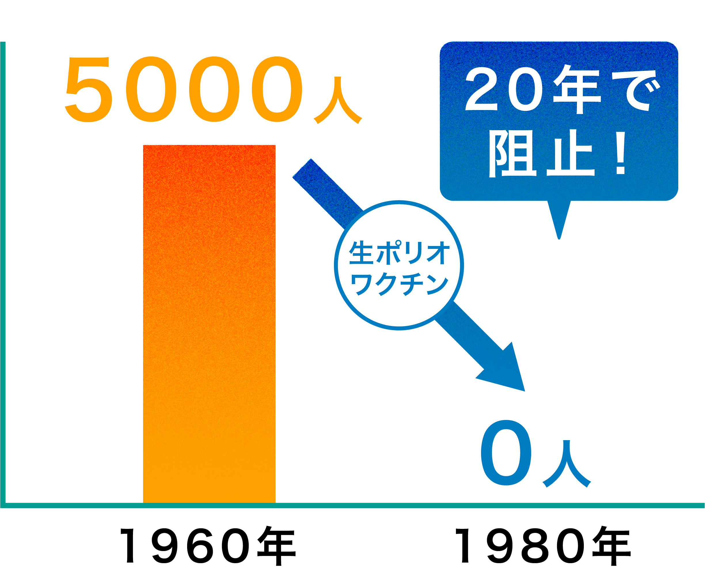 生ポリオワクチンの導入でポリオの大流行を阻止